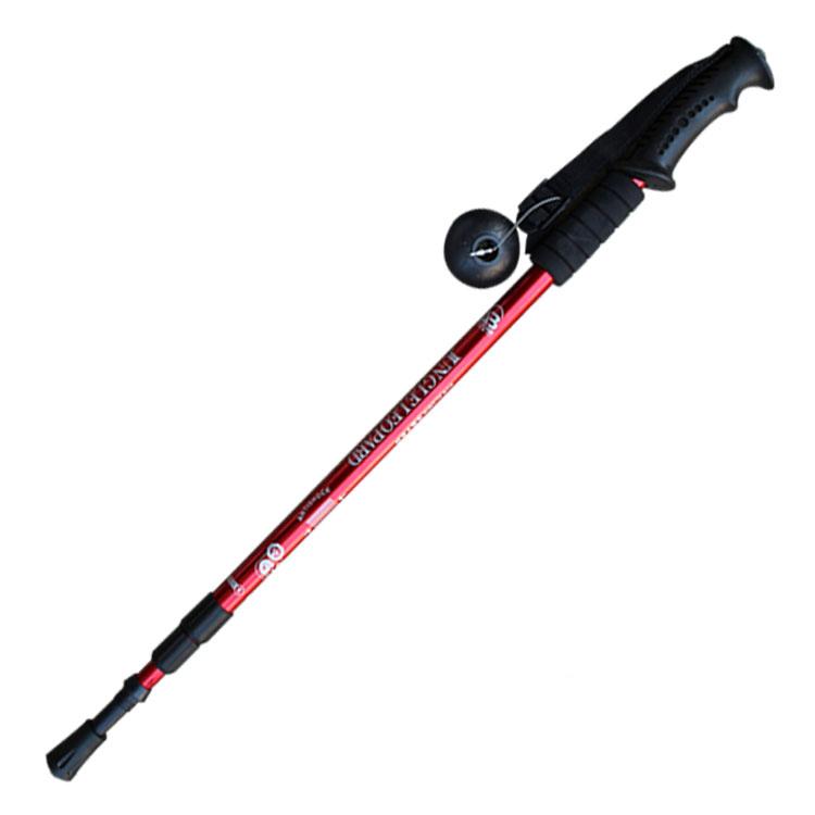 trekking pole brands