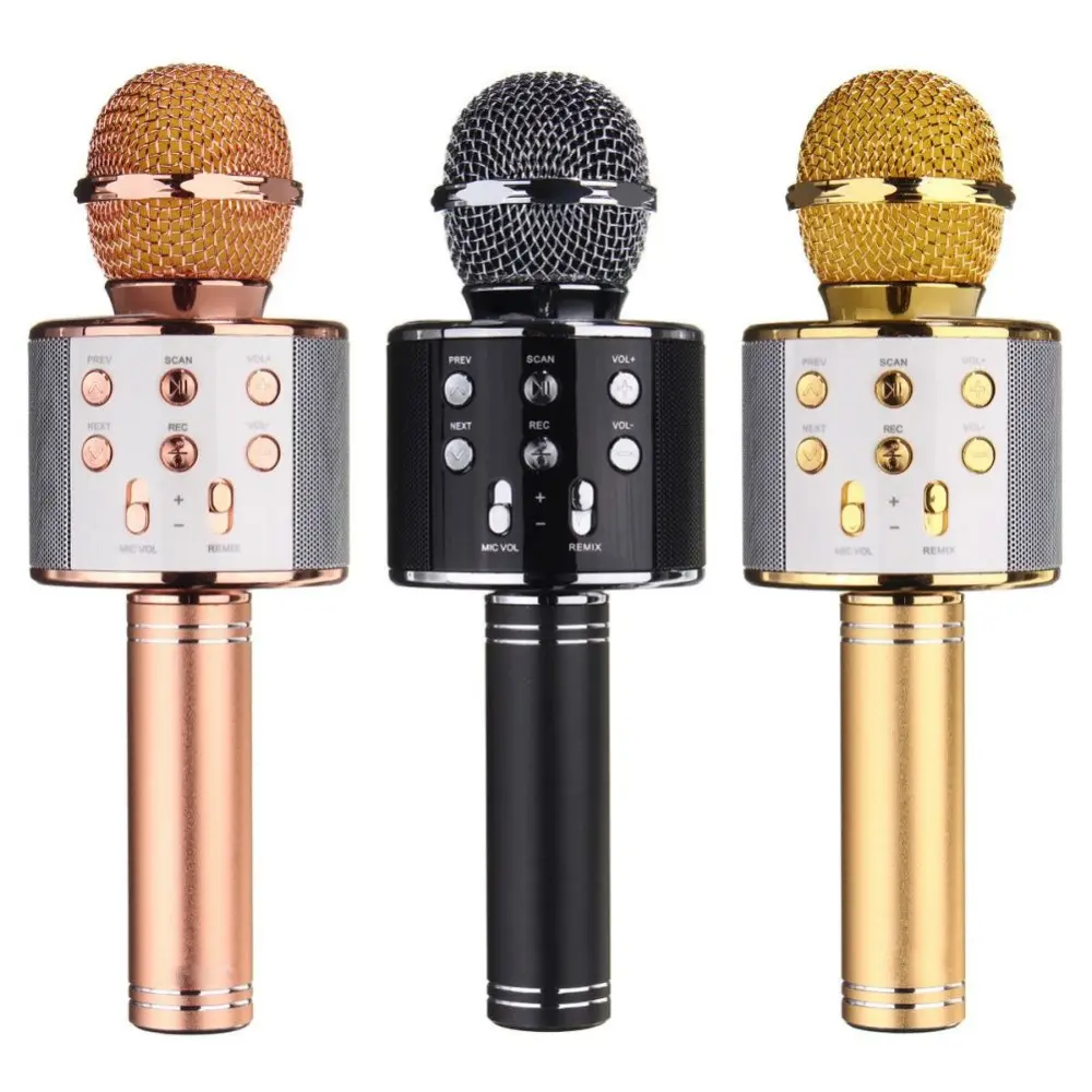 reverb microphone toy