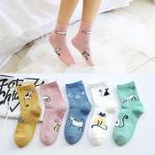 S164 5Pairs Korean Fashion Women's Ankle Socks - BrandX