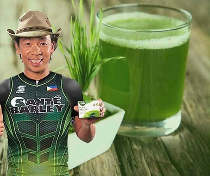 SANTE BARLEY JUICE SANTE BARLEY JUICE