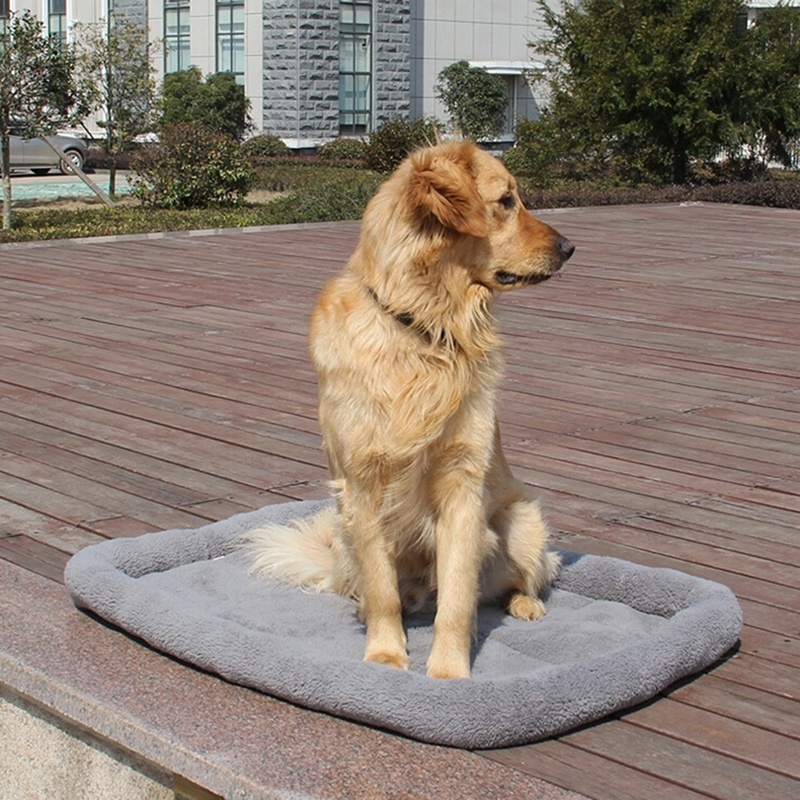 oversized dog kennels