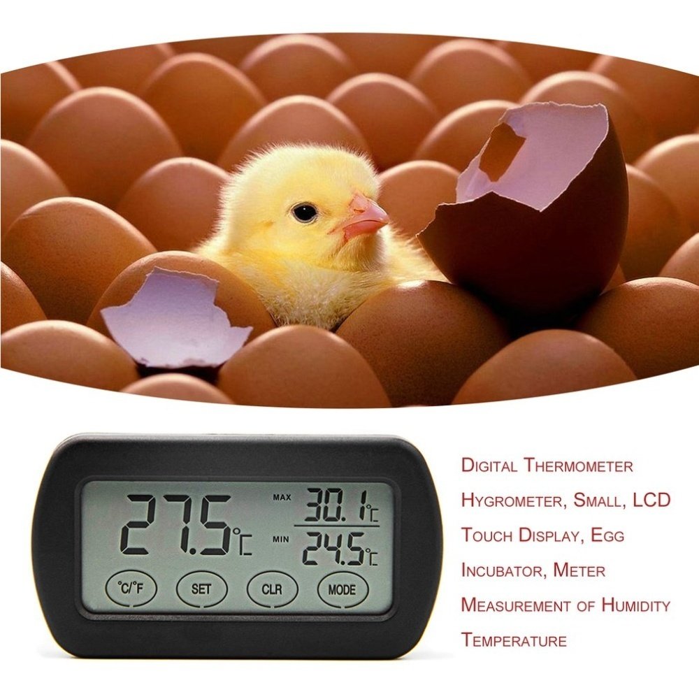 incubator digital thermometer