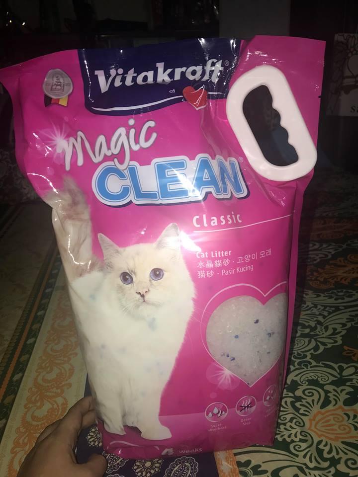 cat litter for sale near me