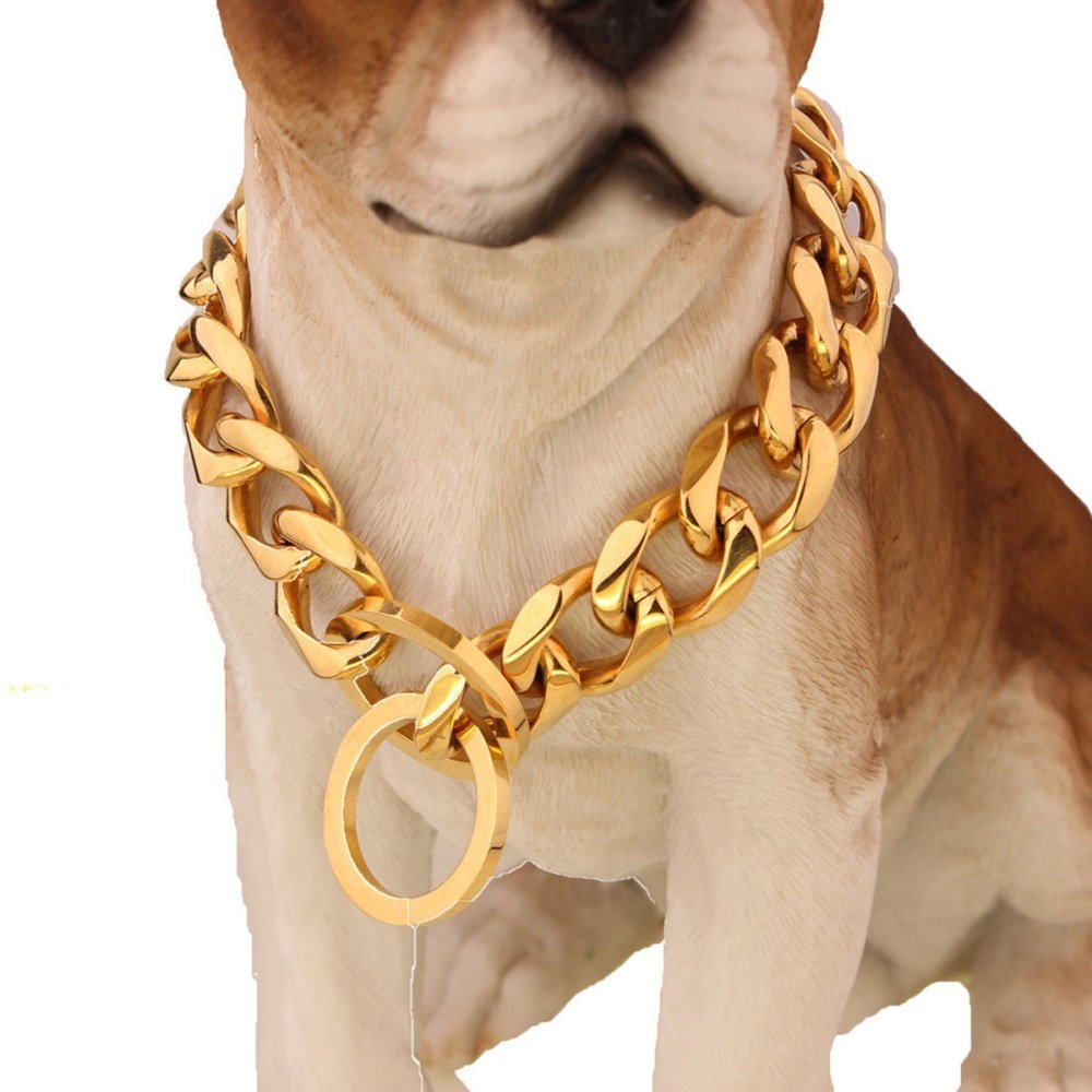 chain for puppy