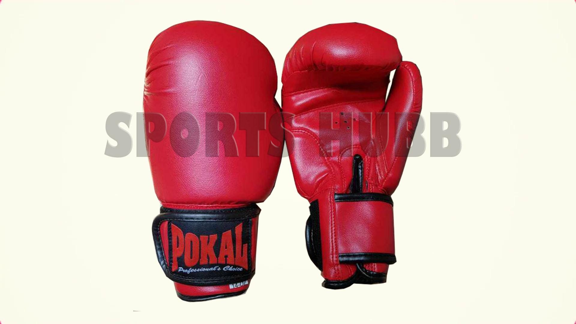 pokal boxing gloves