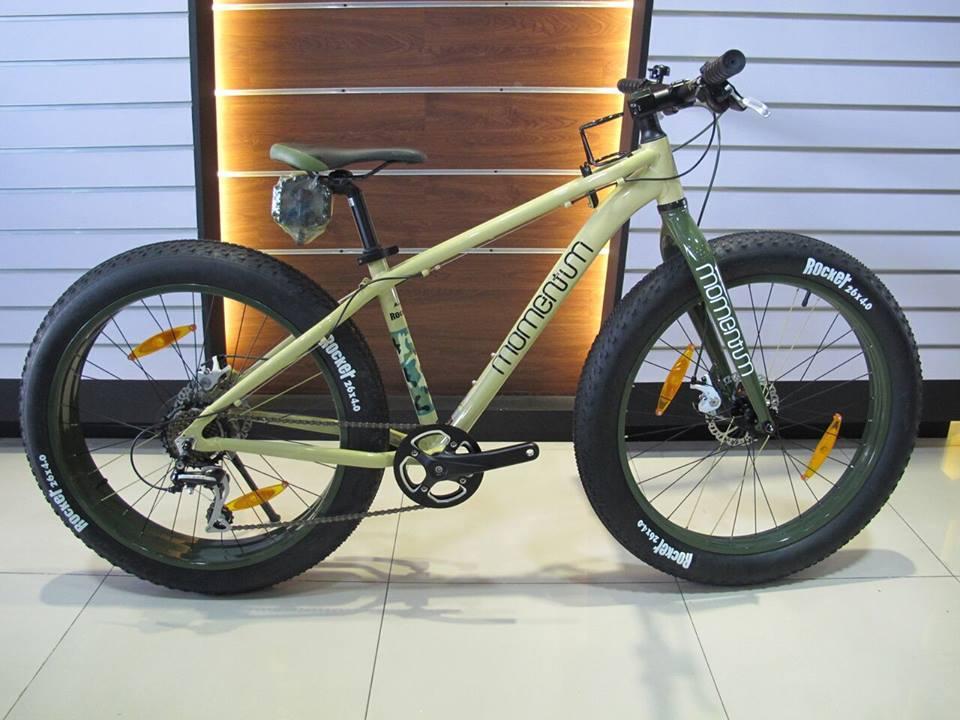 giant fat bike 2019