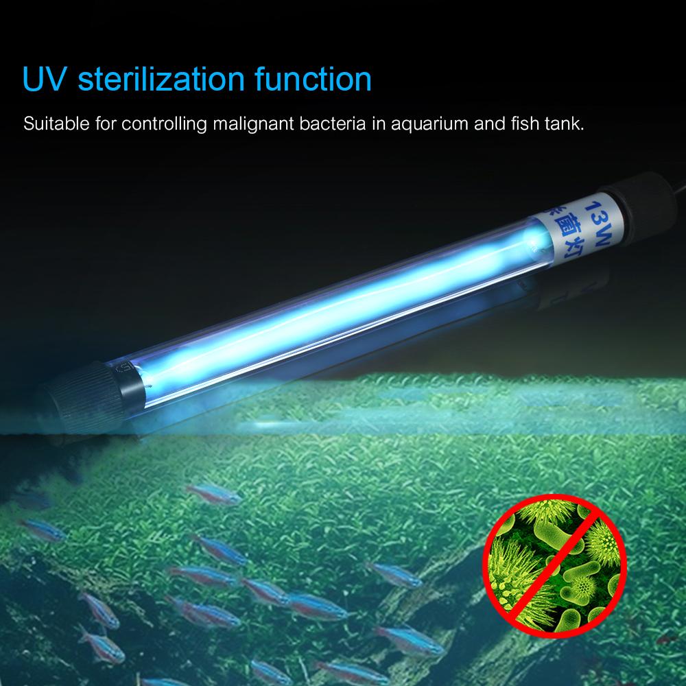purpose of uv light in aquarium