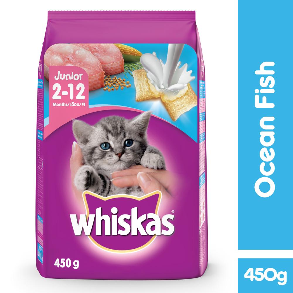 Buy Latest Cat Food & Treat at Best Price Online