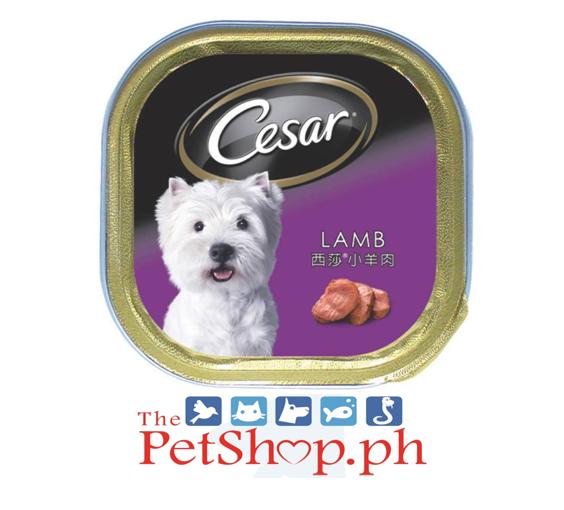 cesar dog food cheapest