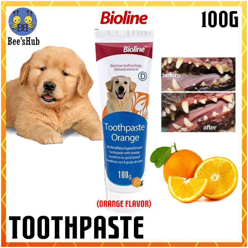 bacon flavored dog toothpaste