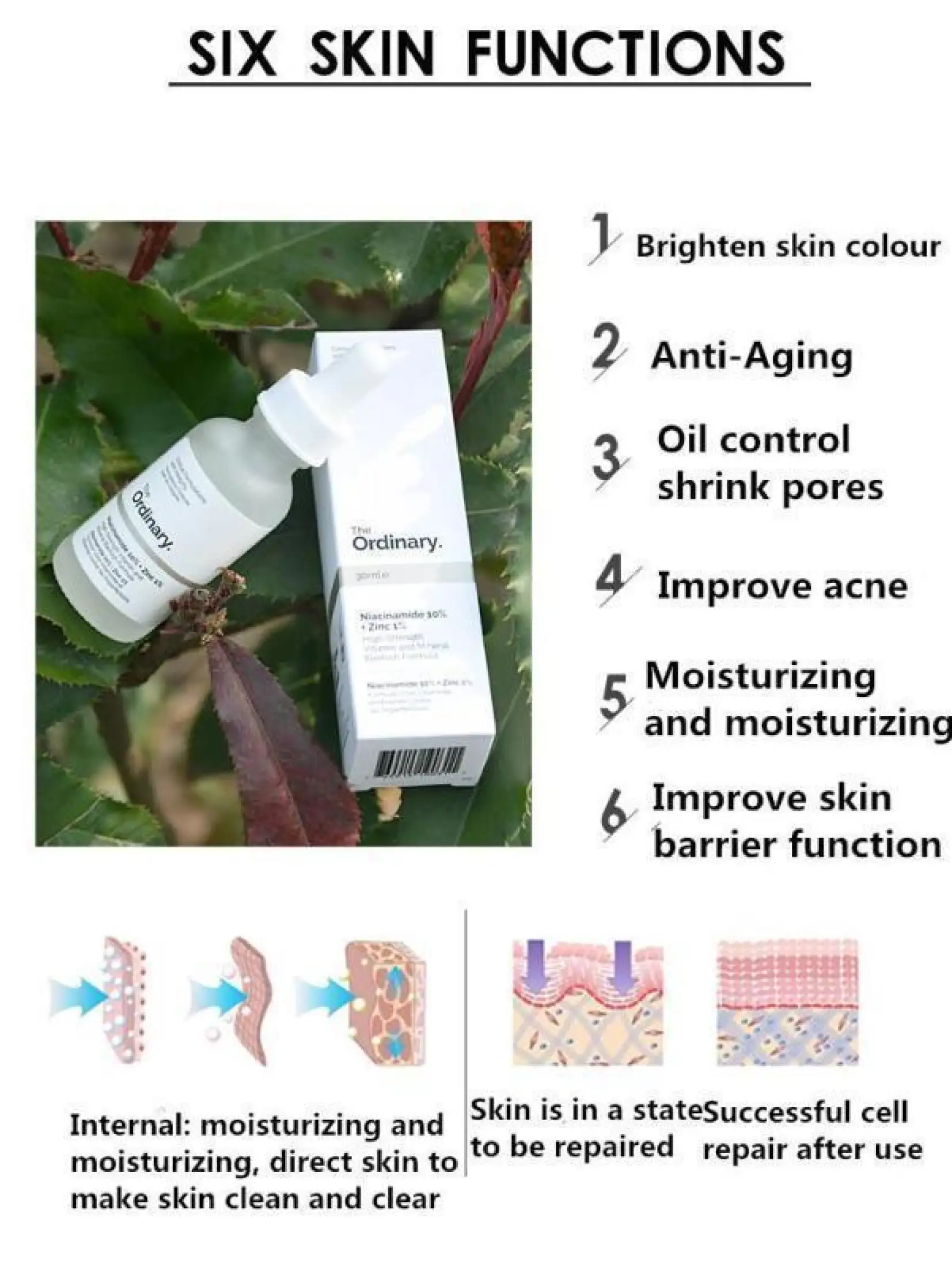 New Product The Ordinary Niacinamide 10 Zinc 1 Face Serum Oil Balance Reduce Skin Blemishes Whitening Britening Moisturizer Essence Remove Acne 30ml Lazada Ph