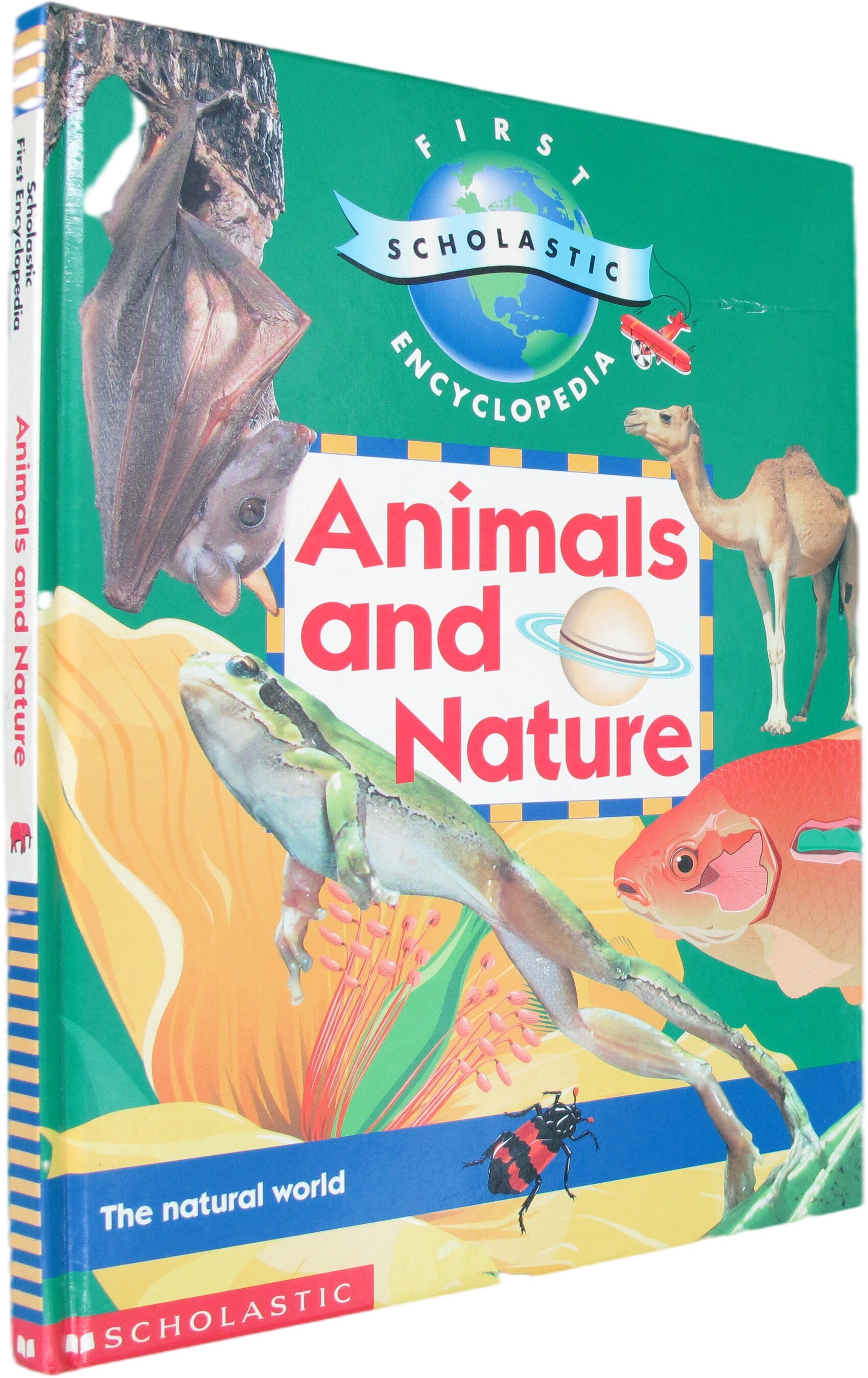 Animals and nature by Jane Amos Andrew Solway hardcover scholastic  Encyclopedia of learning and Music Series animals and nature Shendong Youth  English books | Lazada PH