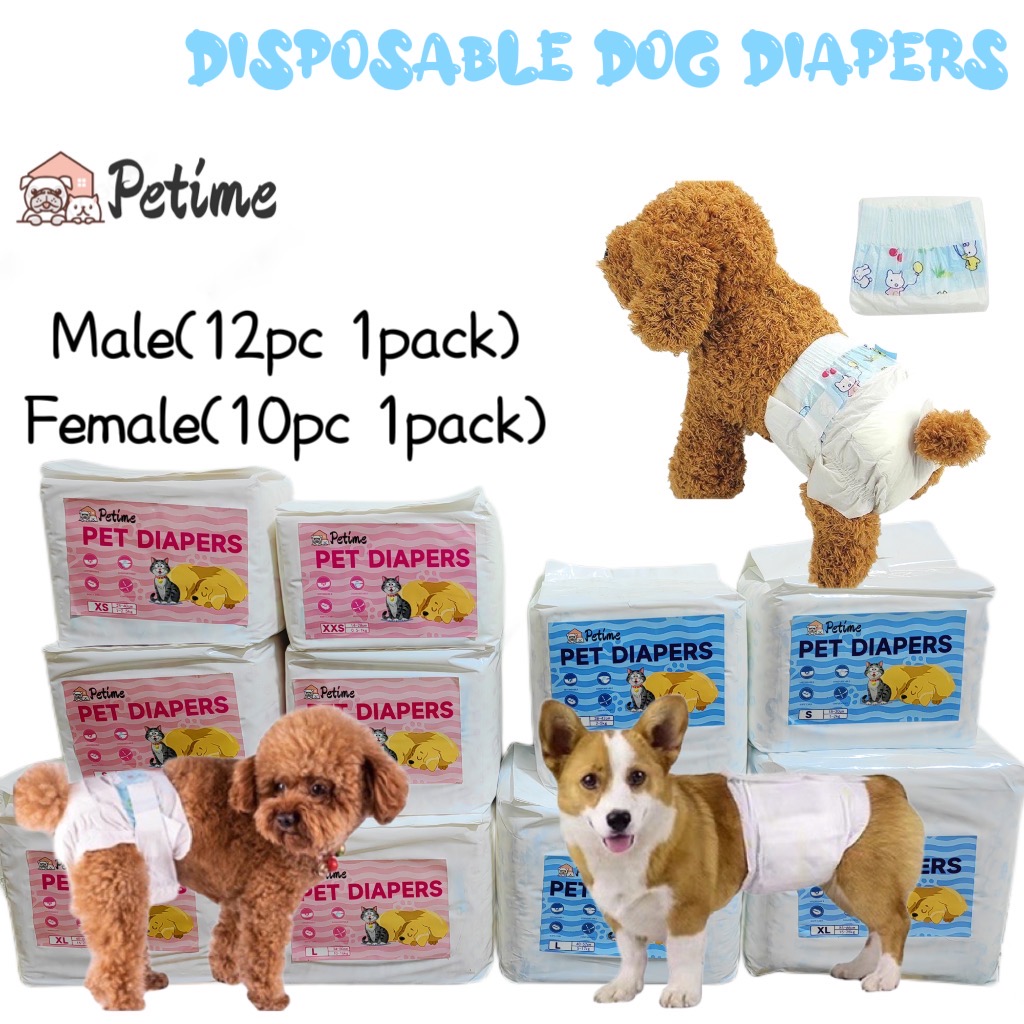 What Are Dog Diapers For