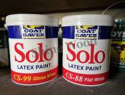 S.W Coat Saver Latex Paint in Flat White/Glossy Finish