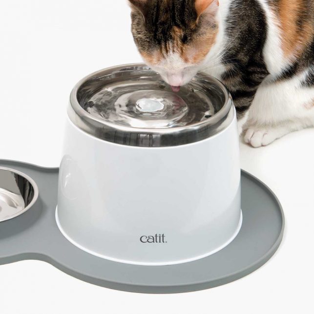 catit drinking fountain