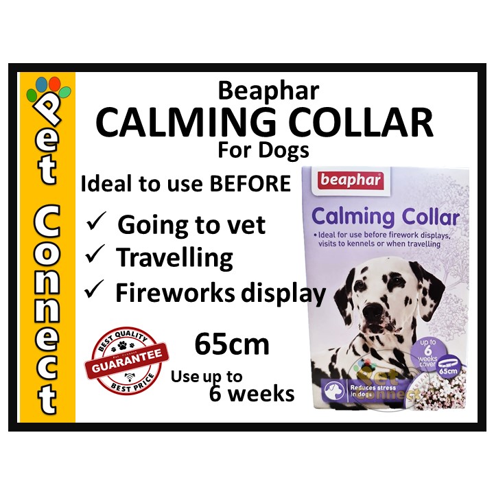 Beaphar calming best sale collar for dogs