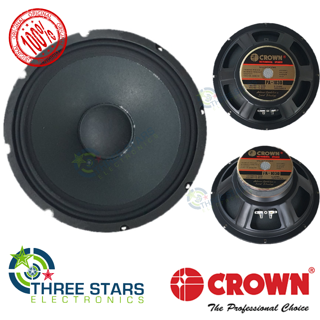 300 Watt P Audio Speaker 12 Inch 200 Watt 300 Watt P Audio 200