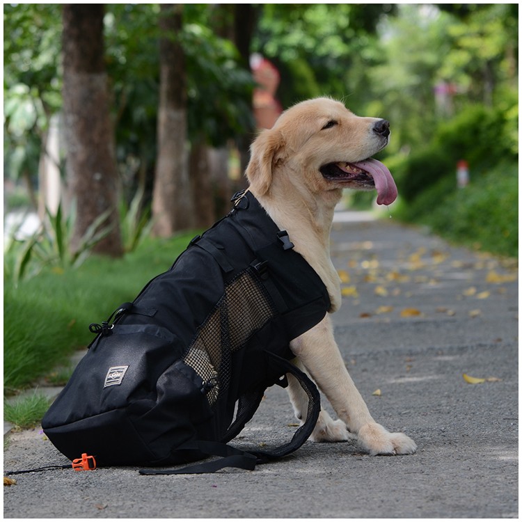 dog bag lazada