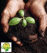 Pure Organic Loam Soil - Perfect for Indoor Plants