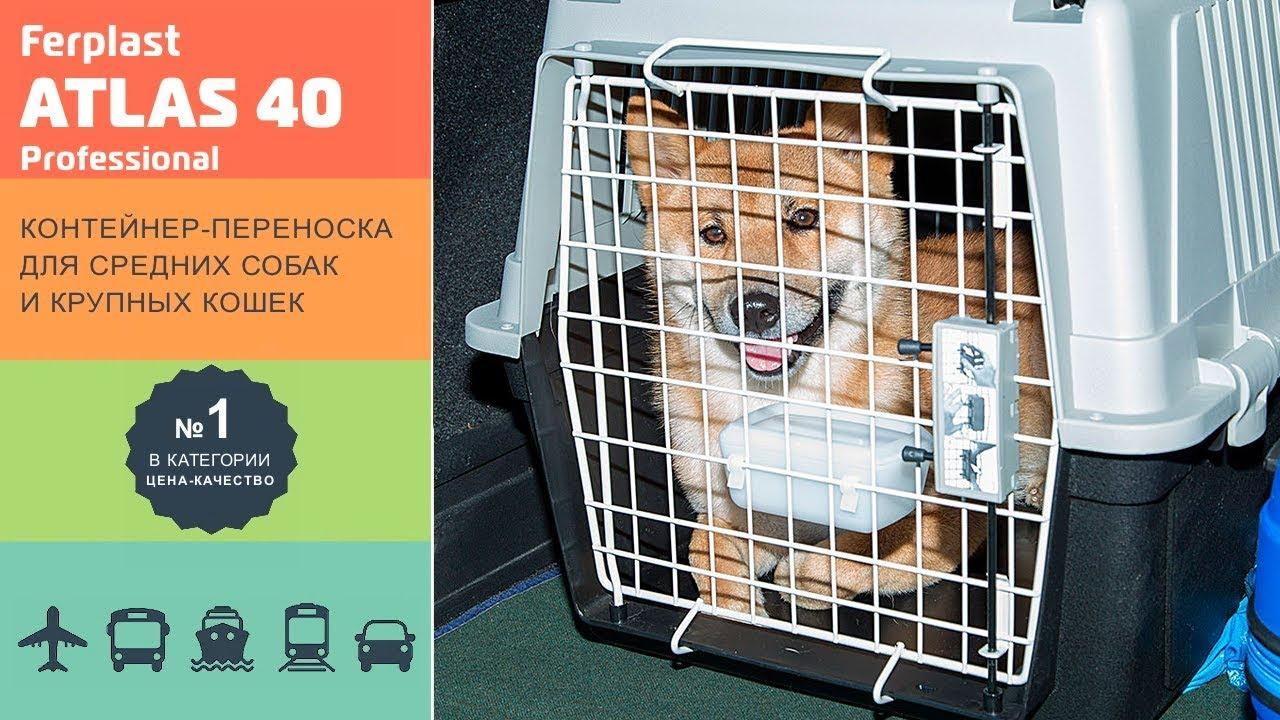 Ferplast Atlas 40 Professional Pet Carrier (Airline Approved) (27 