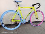 Solana Fixie Steel Rainbow Color