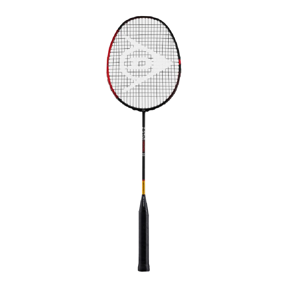 Dunlop Badminton Racket Z-Star Control 83 | Lazada PH