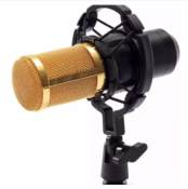 Professional Studio Microphone for Recording and Broadcasting - HALL OF BRAND
