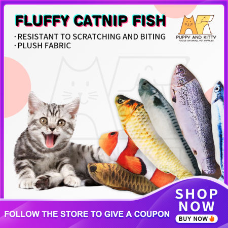 Catnip Fish Toy for Kittens - Bite & Chew Fun