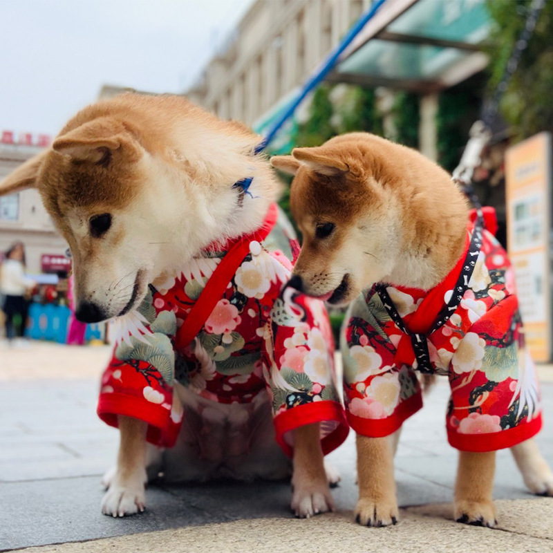 Spring Summer Sweet Japanese Kimono Cat, Dog Trench Coat Costume Pattern