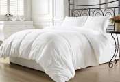 Cotton White Comforter