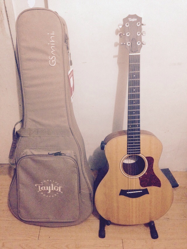 taylor guitar price lazada