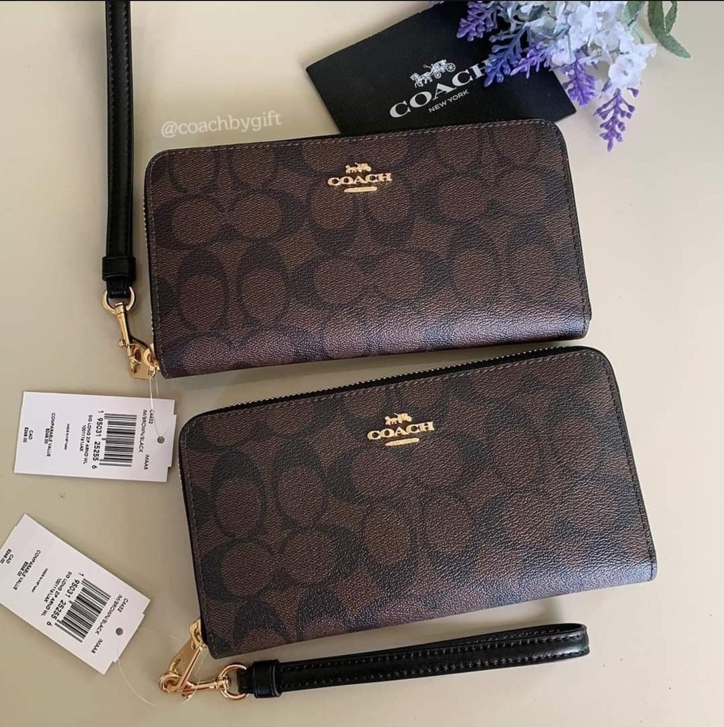 Coach wallet new online york