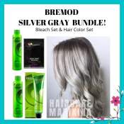SILVER GRAY BUNDLE! Bremod Hair Color & Hair Bleaching Set