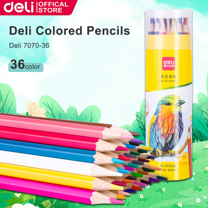Deli Hexagonal Colored Pencils - 12/24/36 Colors Assorted (