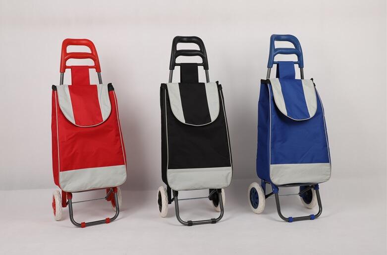 small shopping bag on wheels