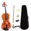 KAWES 4/4 Basswood Practice Violin with Accessories