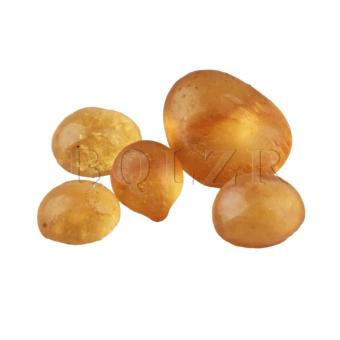 Animal Glue Luthier Hide For Violin Maker 60G Amber June 2018 - 4 Animal Glue Luthier Hide for Violin Maker 60G Amber - 4