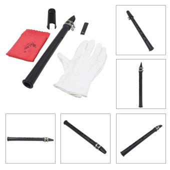 Mini Pocket Saxophone Sax Eb Plastic With Reed Cleaning ClothCarrying Bag Gloves Woodwind Instrument For Beginner - Intl June 2018 - 2 Mini Pocket Saxophone Sax Eb Plastic with Reed Cleaning ClothCarrying Bag Gloves Woodwind Instrument for Beginner - intl - 2
