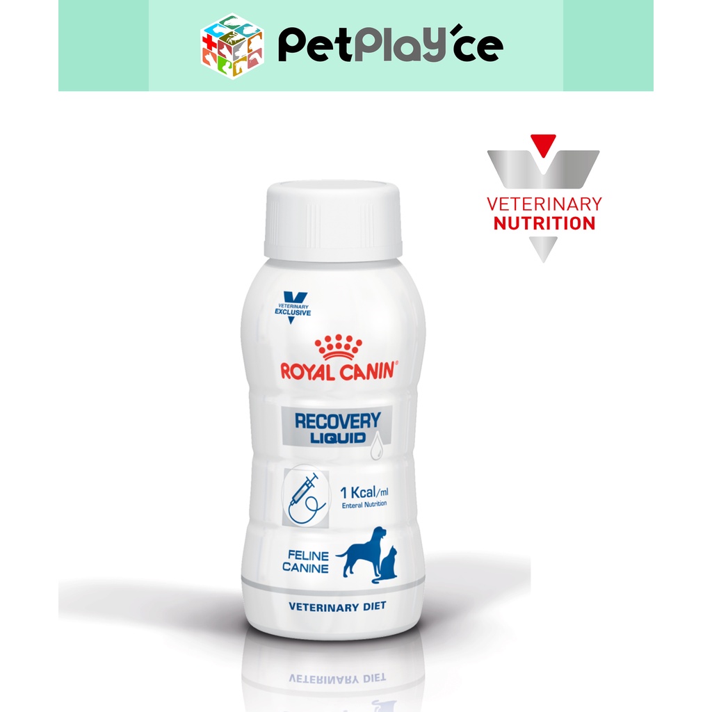 Royal canin recovery outlet feline