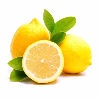Commercial BIG Heavy Duty Stainless Steel Manual Vegetable And Fruit Juicer For Orange Lemon Grapefruit Lime Nutrition Refreshment Squeezer Extractor And Lemon Juice Business Opportunity June 2018 - 2 Commercial BIG Heavy Duty Stainless Steel Manual Vegetable and Fruit Juicer for Orange Lemon Grapefruit Lime Nutrition Refreshment Squeezer Extractor and Lemon Juice Business Opportunity - 2