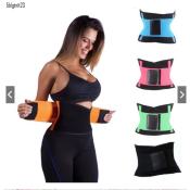 FP.Smile Shop Waist Trainer - Slimming Belt for Women
