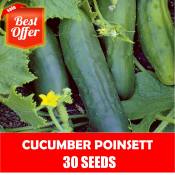 Cucumber Poinsett Seeds - Cucumber Seeds