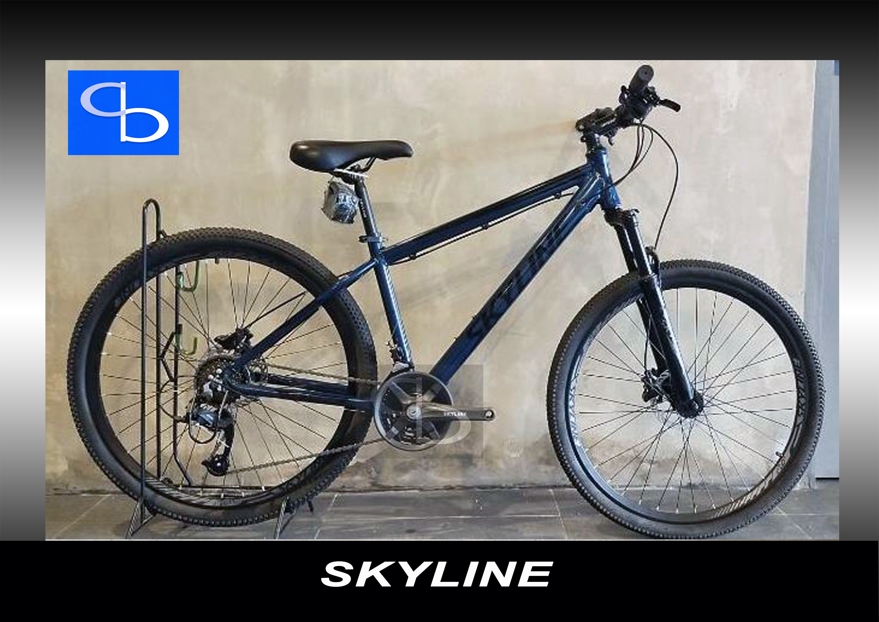 Skyline bike price 2021 sale