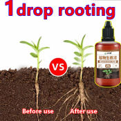SuperGrow Rooting Powder for Faster Plant Growth and Flowering