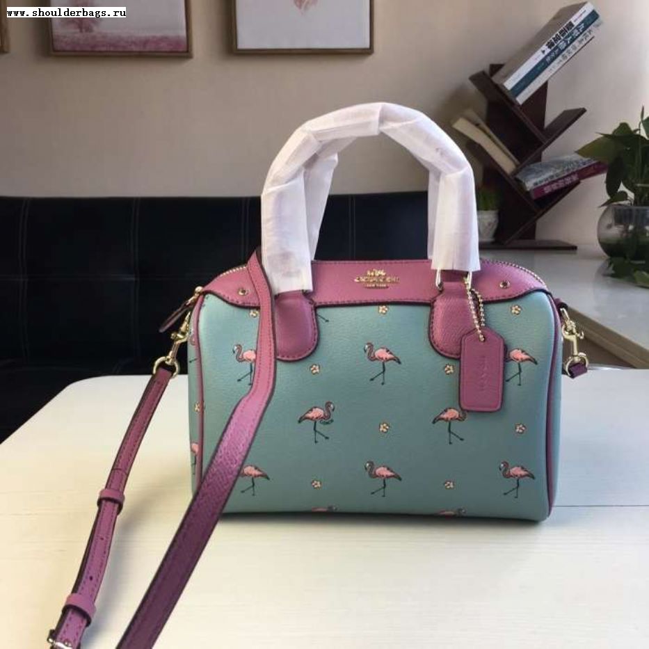 Coach on sale flamingo bag