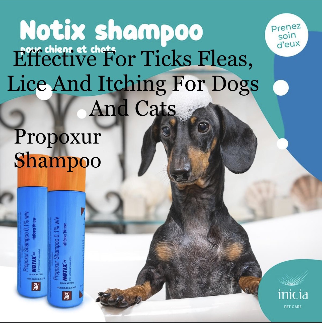 Notix best sale dog shampoo