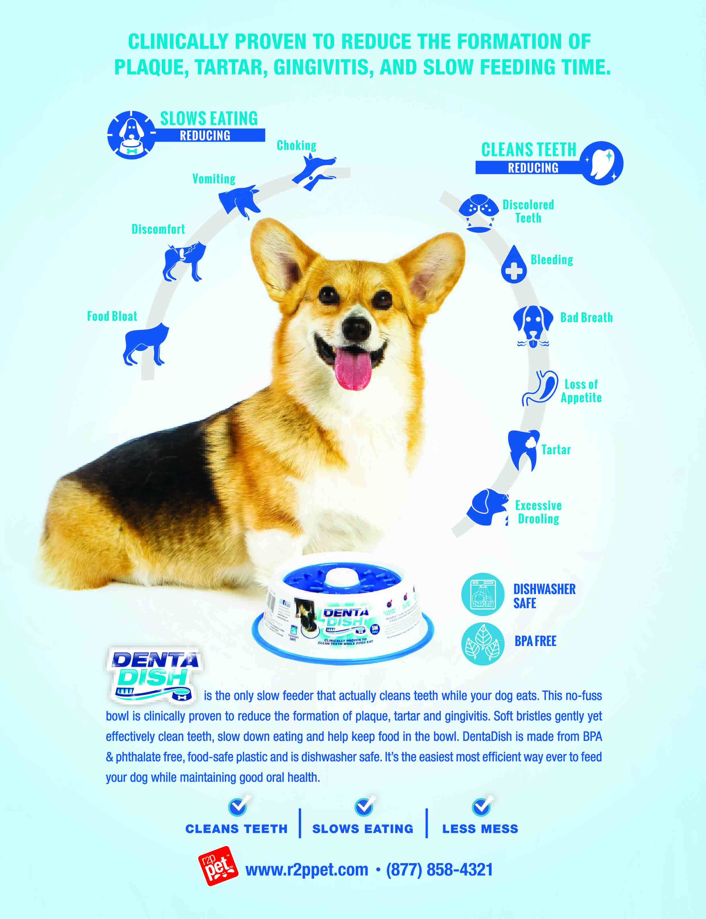 denta dish for dogs