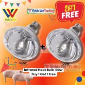 B1 100W Infrared Bulb for Piglet Brooding