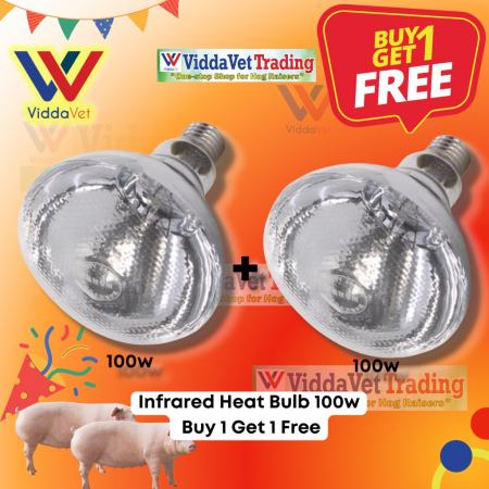 B1 100W Infrared Bulb for Piglet Brooding