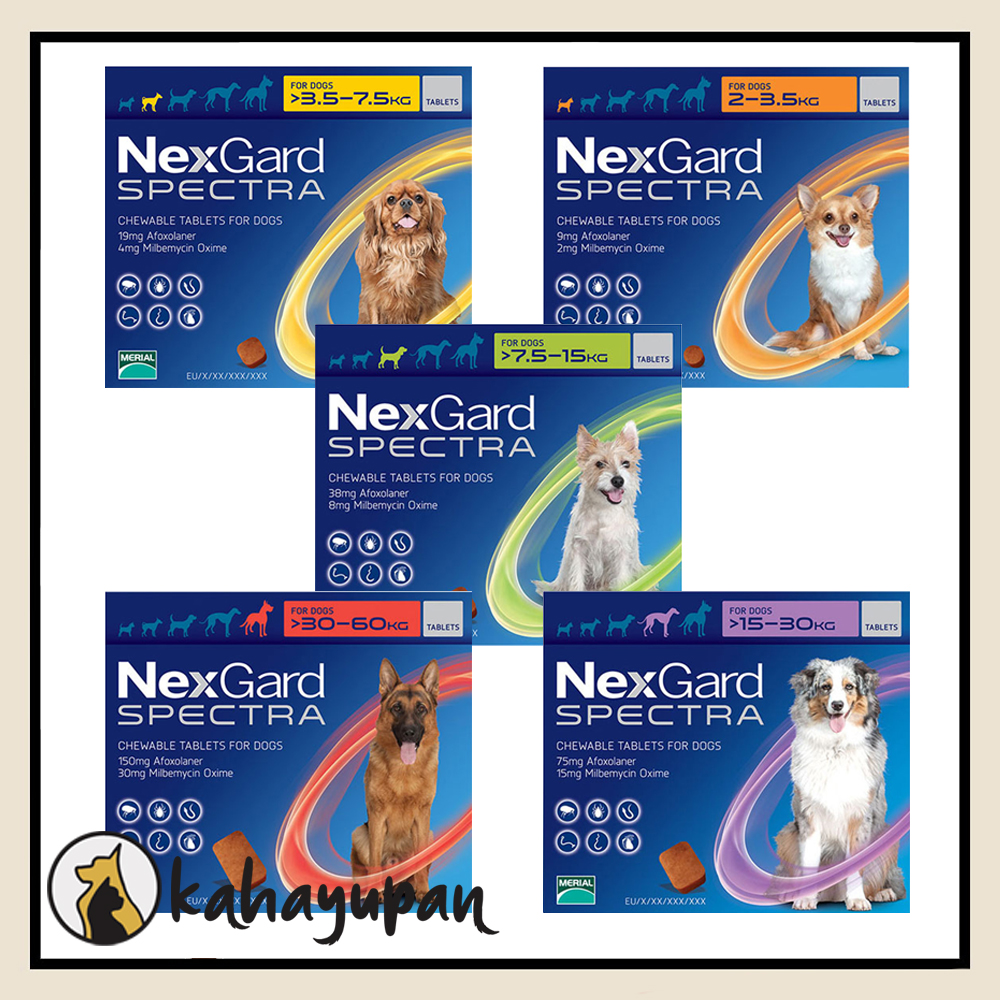 Nexgard Spectra Single Anti Tick, Flea, Mange and Deworming Chewable for  Medium Sized Dogs 7.5-15 kg